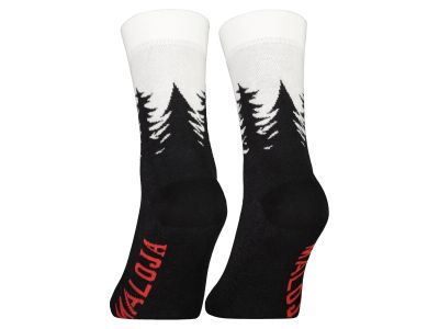 Maloja LabanM. Socken, mondlos