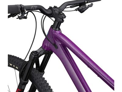 GT Zaskar LT 29 Pro bike, purple