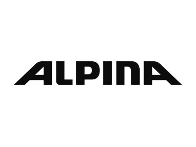 ALPINA polstrování do přilby Kamloop