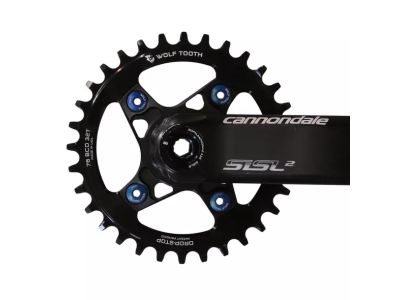 Wolf Tooth chainring, 76 BCD, 30T