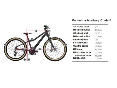 ACADEMIA Grad 5 Centura 24 bicicleta copii, albastra