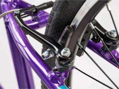 Bicicleta pentru copii Academy Grad 5 Belt 24, violet