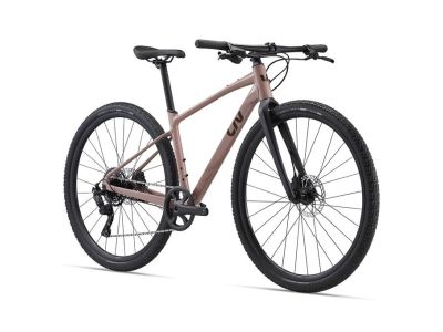 Liv Thrive GX 28 women&#39;s bike, petra clay