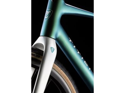 Titici RELLI 28 kerékpár, iride green/metallic white
