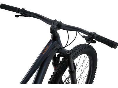 Giant Stance 29 1 bike, metallic black