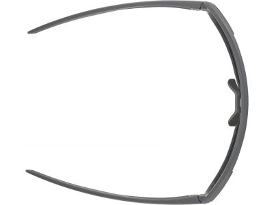 ALPINA BONFIRE glasses, midnight grey