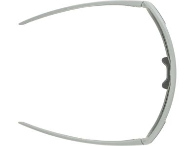 ALPINA BONFIRE Q-Lite szemüveg, füstszürke