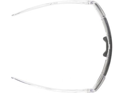 ALPINA BONFIRE glasses, transparent