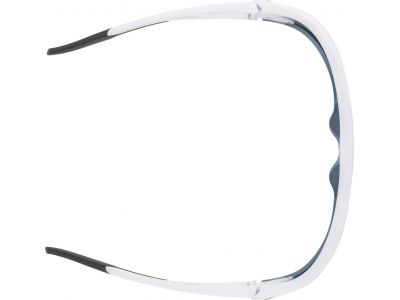 ALPINA LEGEND glasses, white matte