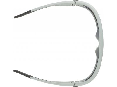 ALPINA LEGEND Q-Lite glasses, smoke gray
