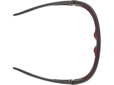 ALPINA LEGEND Q-Lite glasses, black/red