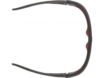 ALPINA LEGEND glasses, black/red