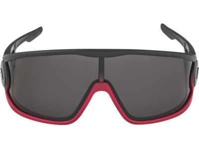 ALPINA LEGEND szemüveg, fekete/piros