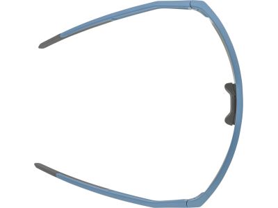 ALPINA RAM HR Q-Lite Brille, rauchblau
