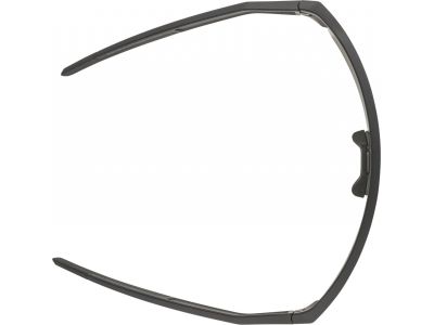 ALPINA RAM HR Q-Lite okuliare, čierna