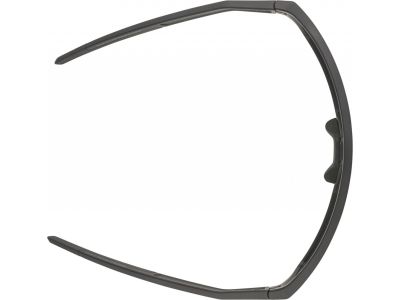 ALPINA RAM Q-lite brýle, černá
