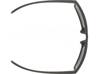 ALPINA Nacan IQ glasses, black