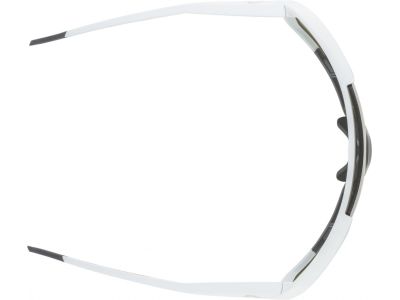ALPINA ROCKET Q-LITE glasses, smoke gray