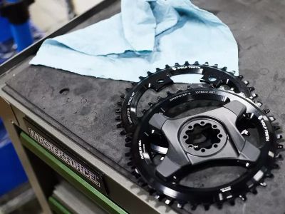 Wolf Tooth chainring 107 BCD, 42T, for SRAM Flattop