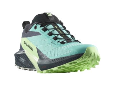 Salomon SENSE RIDE 5 GTX women's shoes, blra/greash/indi