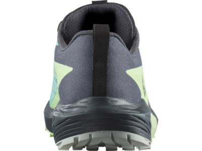 Salomon SENSE RIDE 5 GTX buty damskie, Blra/Greash/Indi