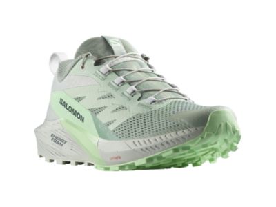 Salomon SENSE RIDE 5 dámske topánky, Lily/Metal/Greash