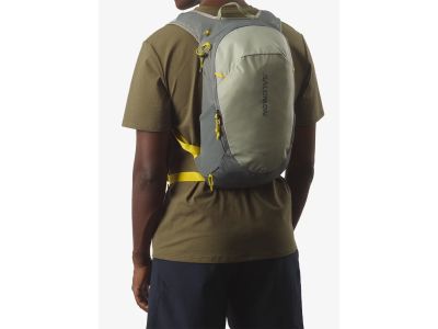 Salomon Trailblazer 10 Rucksack, 10 l, black/alloy
