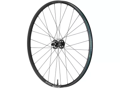 e*thirteen Optimus Race Alloy 29&quot; Vorderrad, 110x15 mm, 6-Löcher