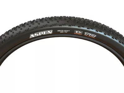 Maxxis Aspen 29x2.25" EXO MaxxSpeed tire, TR, kevlar