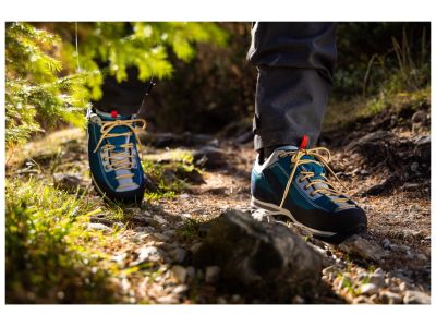 alpina ROYAL VIBRAM topánky, modrá/zelená