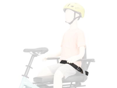 Tern Sidekick rear seat belt