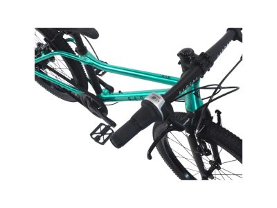 Rascal 20 Limited children&#39;s bike, emerald