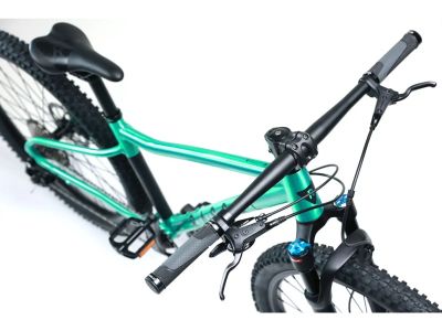 Rascal Wild 29 detský bicykel, emerald