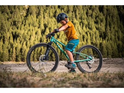 Rascal Wild 24 children&#39;s bike, bronze