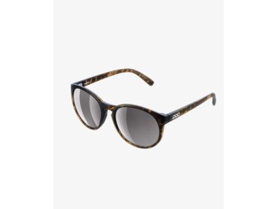 POC Know-Brille, Tortoise Brown/Clarity Road