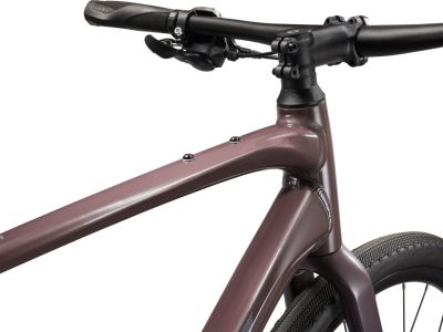 Bicicleta Giant FastRoad AR 3 28, prune carbune
