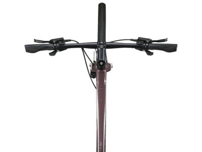 Bicicleta Giant FastRoad AR 3 28, prune carbune