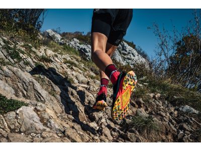 Șosete COMPRESSPORT Pro Racing Winter Trail, Mosaic Blue/Negru