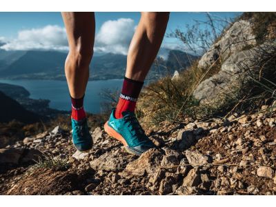 COMPRESSPORT Pro Racing Winter Trail socks, Mosaic Blue/Black