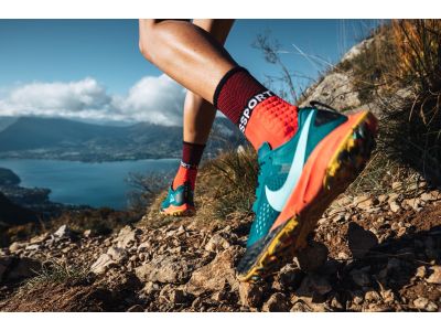 COMPRESSPORT Pro Racing Winter Trail Socken, Mosaikblau/Schwarz