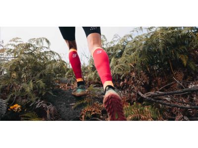 COMPRESSPORT R2 3.0 calf sleeves, Hawaiian Ocean/Alloy