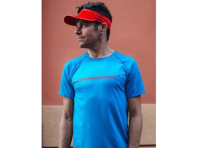 COMPRESSPORT Training Logo T-Shirt, Niagara Blue