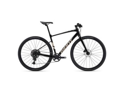 Giant FastRoad AR 2 bike, panther