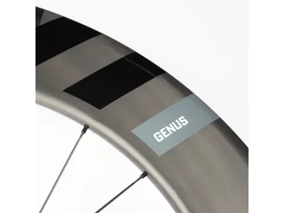 Ere Research GENUS AE00-D CARBON DISC 28" front wheel, disc, 12x100 mm