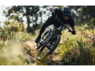 DVO Diamond 36 D1 SL 29&quot; suspension fork, 160 mm