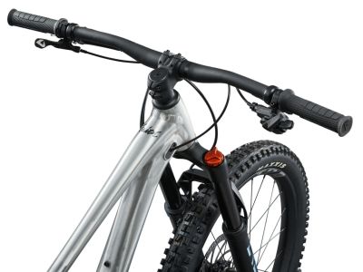 Giant Faith 24 children&#39;s bike, raw aluminum