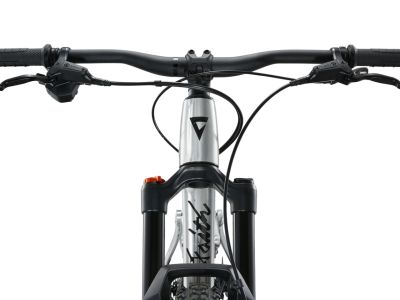 Bicicleta pentru copii Giant Faith 24, aluminiu brut