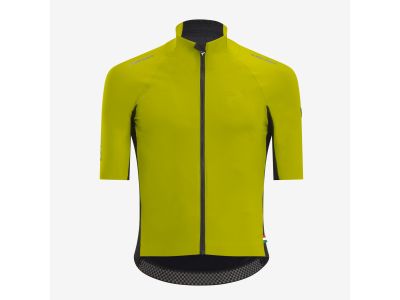 Pinarello DOGMA WINTER Trikot, Limette