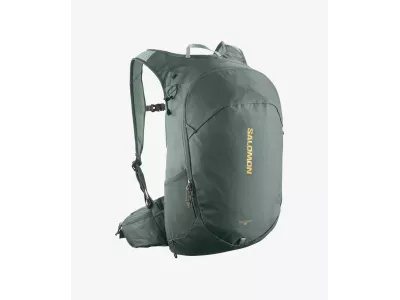 Salomon TRAILBLAZER backpack, 20 l, urban chic/green milieu