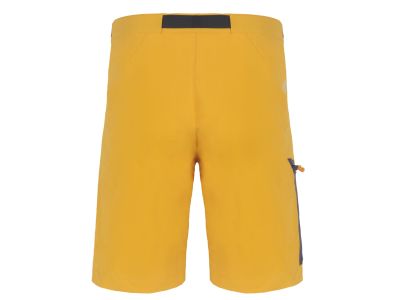 DIRECT ALPINE CRUISE 2.0 shorts, mango/anthracite